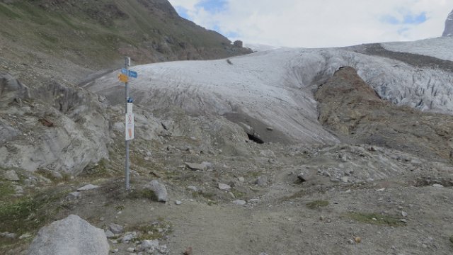 IMG 4225