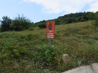 IMG 6635