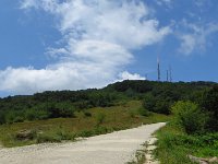IMG 6639