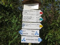 IMG 4831