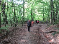 IMG 4841