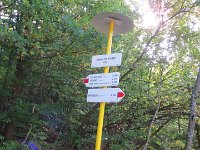 IMG 4842