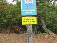IMG 4858