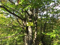 IMG 4859