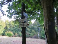 IMG 4860