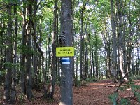 IMG 4861