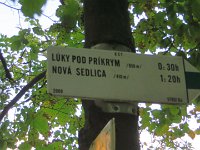 IMG 4863