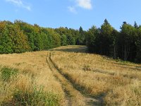 IMG 4865