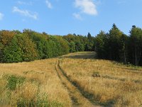 IMG 4866
