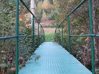 IMG 4869