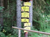 IMG 4509