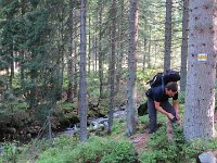 IMG 4515