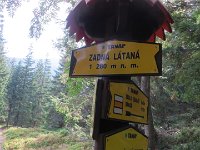 IMG 4519