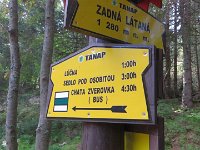 IMG 4520