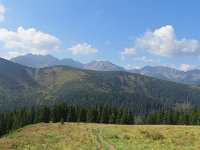 IMG 4522