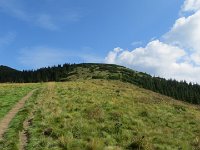 IMG 4523
