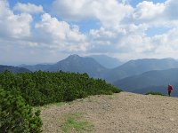 IMG 4529