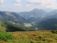 IMG 4532