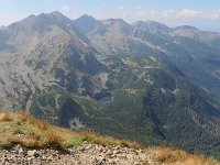 IMG 4540