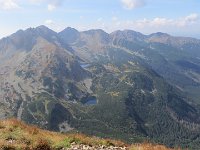 IMG 4542
