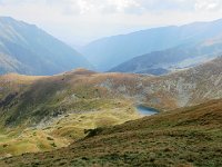 IMG 4549