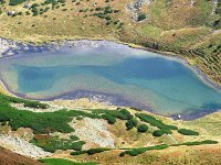 IMG 4551
