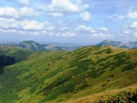 IMG 4556