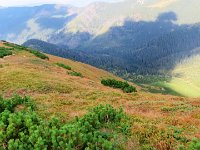 IMG 4558