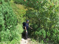 IMG 4571