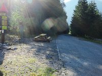 IMG 4749