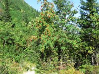 IMG 4754