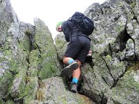 IMG 4762