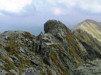 IMG 4763