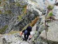 IMG 4782