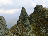 IMG 4783