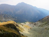 IMG 4784