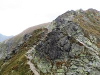 IMG 4796