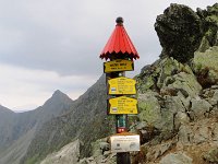 IMG 4819