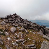 IMG_20240801_124509