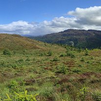 PANO_20240807_132615